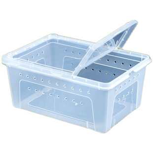 爬虫饲养盒爬宠箱蚕宝宝蜘蛛守宫条纹角蛙盒宠物蛇寄居蟹昆虫龟苗