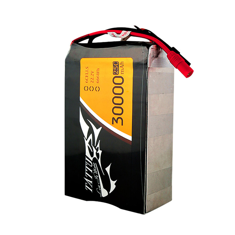 ACE30000mah6s锂电池