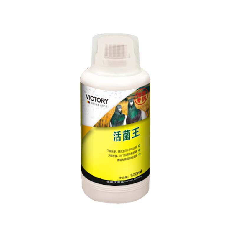 汉诺威活菌王赛鸽鹦鹉鸟百益活菌