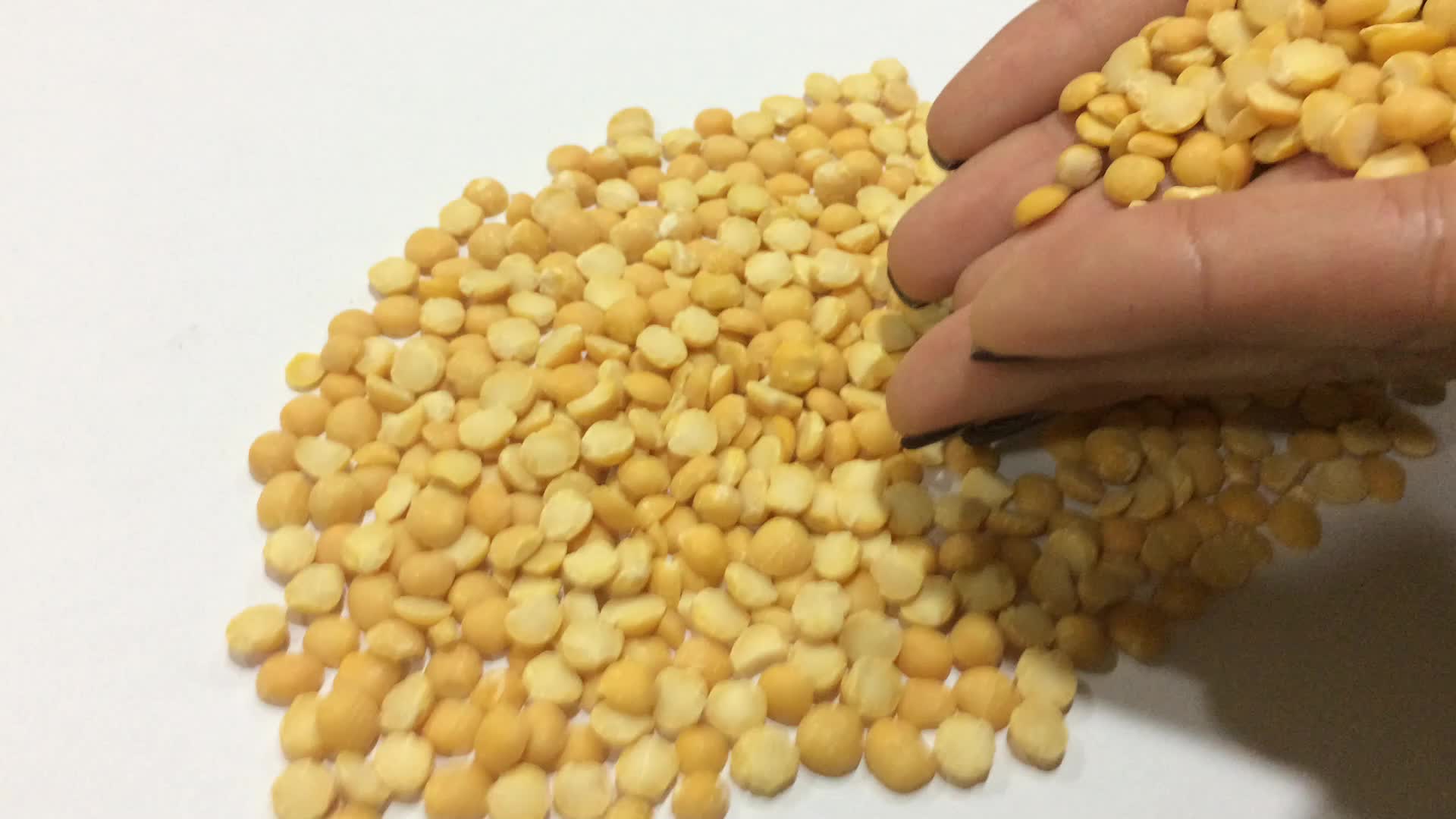 Peas /split Yellow Peas/pigeon Peas Or Toor Dal Whole Buy Yellow