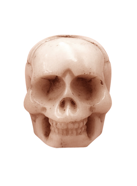 古玩古董收藏真品鹿角尸陀林主