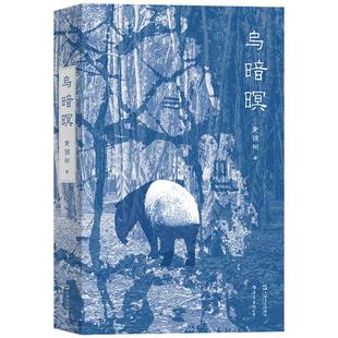 后浪正版现货 乌暗暝 马来西亚重量级作家黄锦树华语乡土文学魔幻现实主义长篇小说书籍