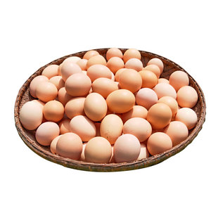 现杀2年正宗土老母鸡九华山农家散养月子鸡柴鸡新鲜笨鸡顺丰包邮