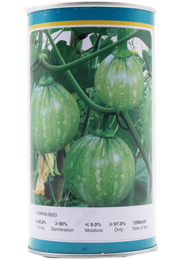 花皮一串铃小南瓜种子嫩食生长快