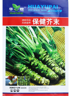 种子华煜调味播绿芥末辣根山葵