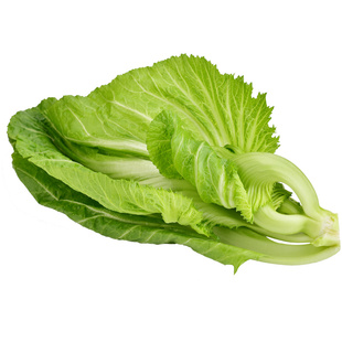 包心芥菜种子大肉卷心大介菜种籽腌制酸菜春秋冬季四季播蔬菜种孑