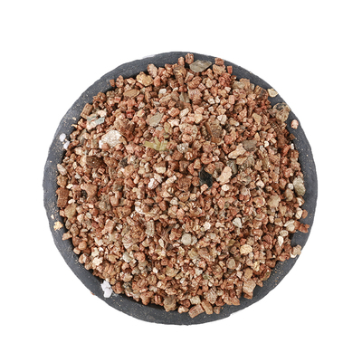 蛭石花用多肉扦插养花孵化发根