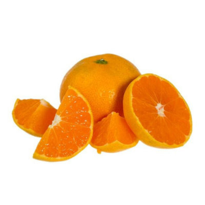 【正宗涌泉蜜桔】桔农直发高山桔