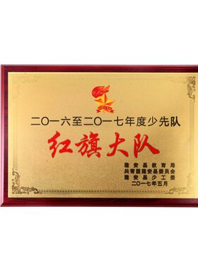 金箔奖牌定制授权牌荣誉牌制作铜牌木质挂牌证书实木木托牌匾定做
