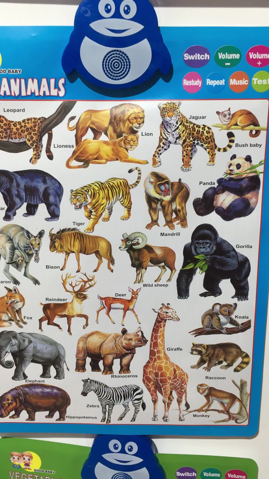 Animal Babies Chart