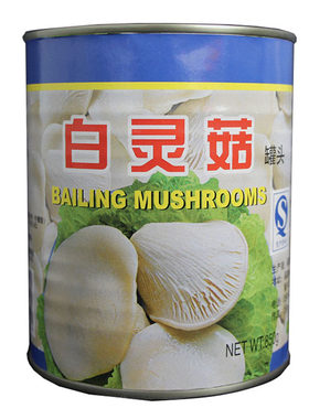 包邮金君白灵菇罐头罐煮汤意面