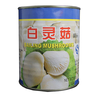 包邮金君白灵菇罐头（有拉环）850g/罐菌类炒菜汤凉拌粤菜翅鲍菇