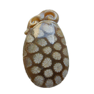 亏本清仓!天然珊瑚玉戒指 彩花玉化珊瑚玉菊花玉戒指 S925活圈