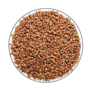 陕北特产延安特产黄土之恋靖边黑苦荞茶养生营养价值高500克