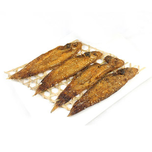 鲜活海捕龙利鱼踏板鱼新鲜舌头鱼鳎目鱼牛扁口鱼海鲜烧烤1斤/16元