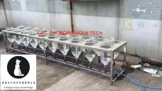 Fish Incubator Fish Hatchery Equipment - Buy Fish Hatchery Equipment ...