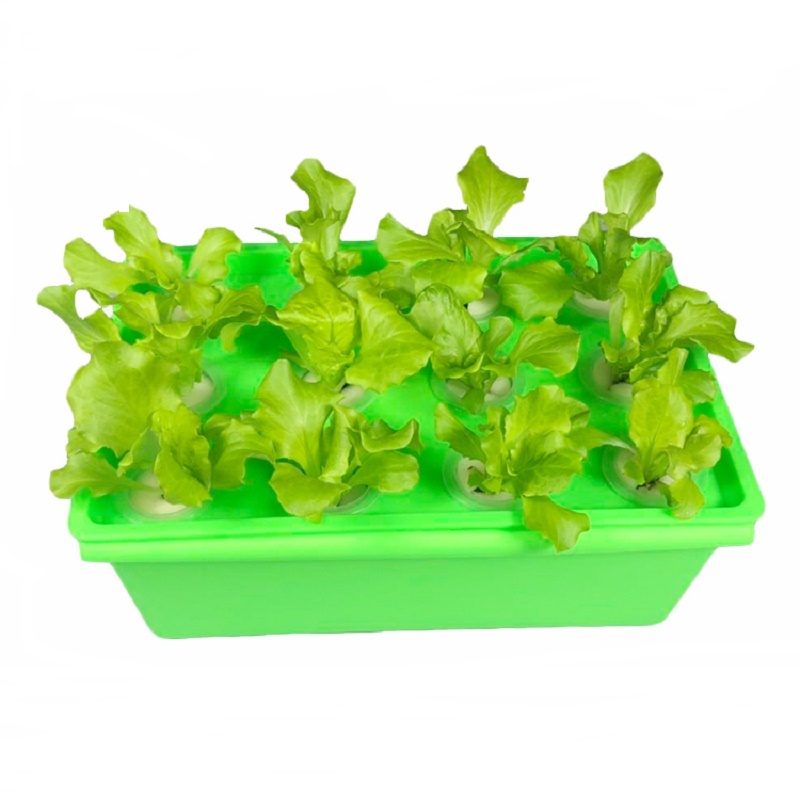种植箱小型无土栽培水耕机设备