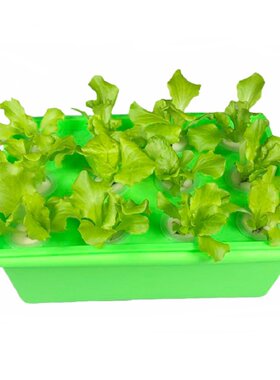 种植箱小型无土栽培水耕机设备