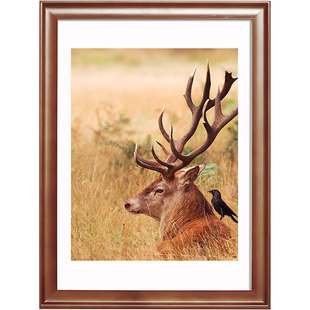 挂墙画框实木原木照片大相框拼图装裱框架14寸4K20寸18定制24寸30