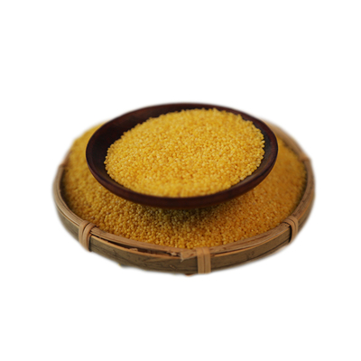 当季新米食用小米晨怡小米5斤真空装曲周特产五谷杂粮小粒米