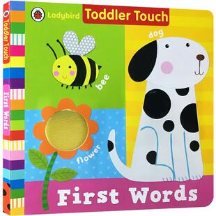 英文原版 Ladybird Toddler Touch First Words 大开本纸板触摸概念书 英国小瓢虫 亲子宝宝纸板书