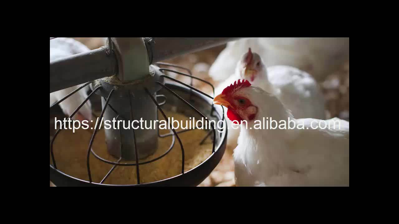 Poultry Farm Business Plan Chicken Coop Chicken Cage For Sale Buy Poultry Farm Business Plan
