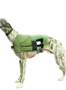 负重灵缇惠比特赛耐力铁块格力犬