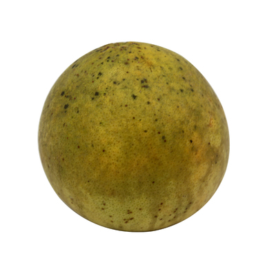 新鲜农产品化州化橘红正毛