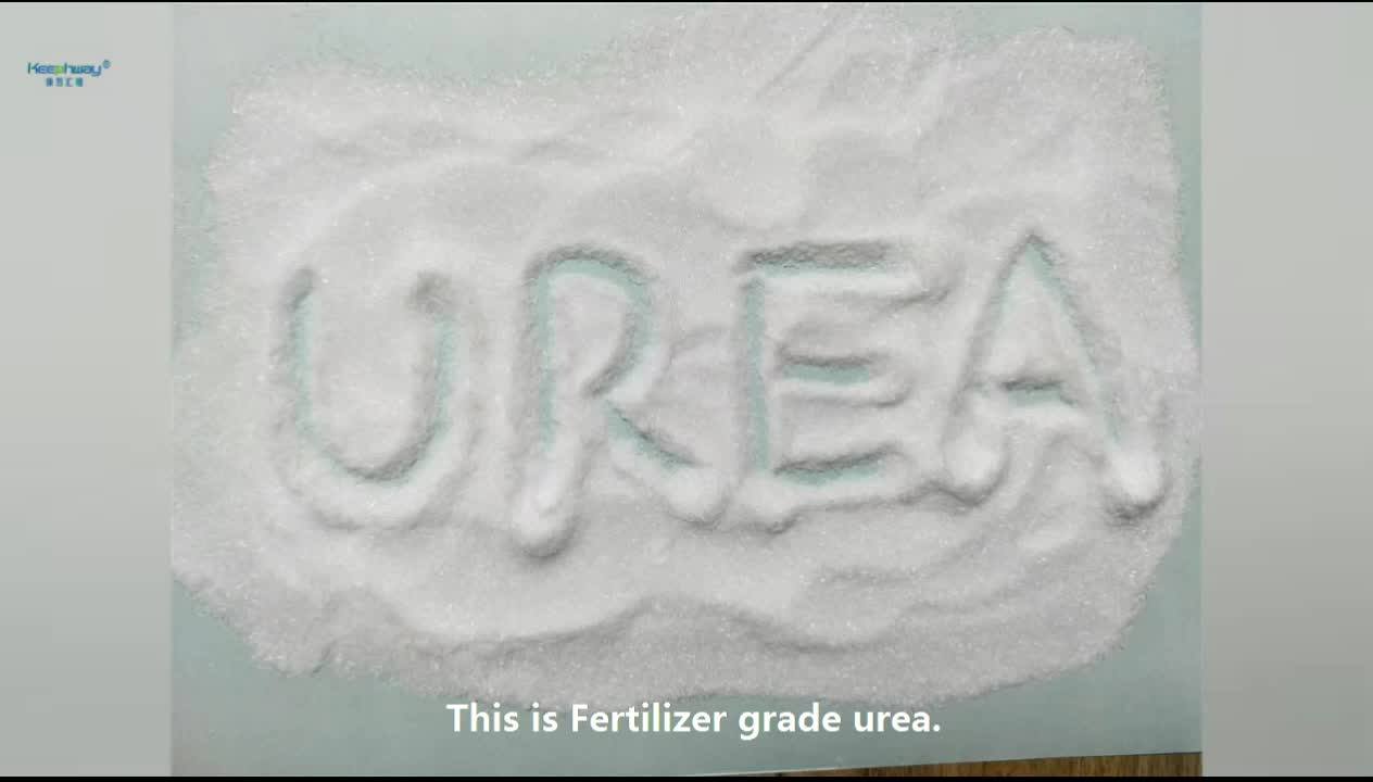 Urea46 Usp Urea Pharmaceutical Class Urea Manufacturers 46 Urea Is