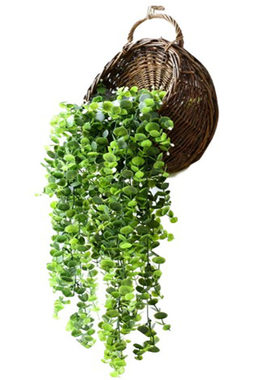 创意墙面装饰挂件客厅垂吊植物