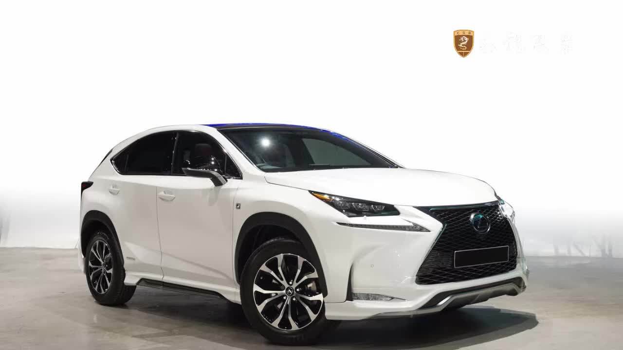 Pp Bahan Plastik Pabrik Pasokan Langsung Lexus Nx Modellista Gaya