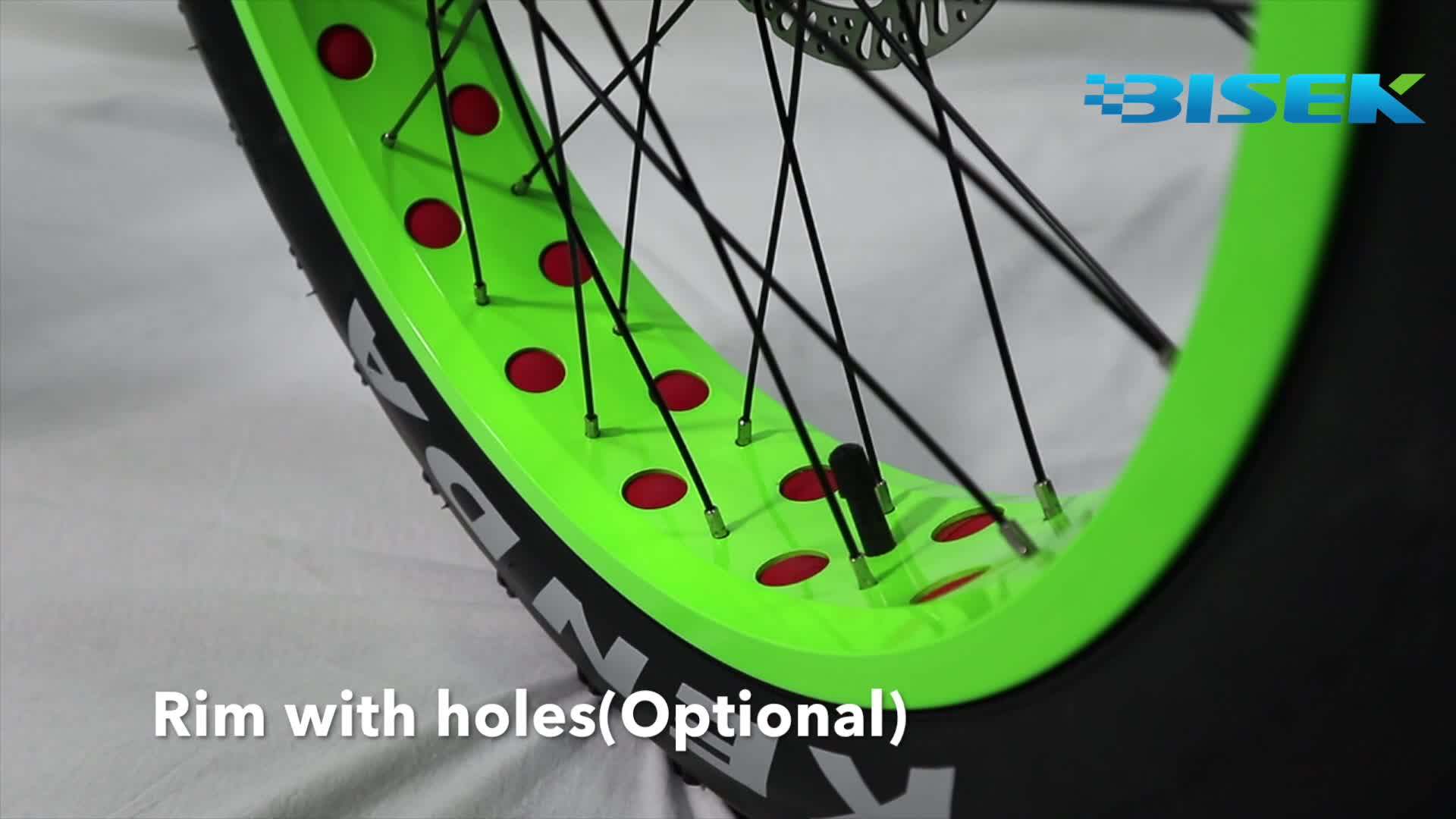 electric fat bike folding