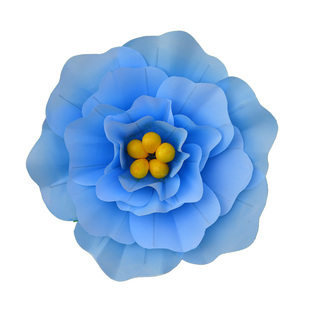 舞蹈道具手拿花手持牡丹花跳舞演出舞台表演运动会入场开幕式创意