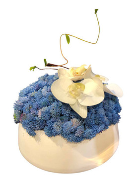 现代简约仿真蓝色菜花果子套装花艺餐桌玄关前台洽谈桌售楼处