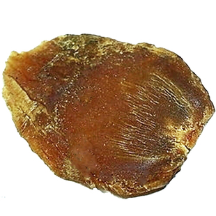 六年根无糖长白山人参红参高丽参皮片250g散装可批 发红参头皮片