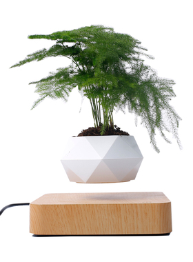 磁悬浮花盆简约创意客厅招财摆件栽家居diy多肉植物科技礼物漂浮