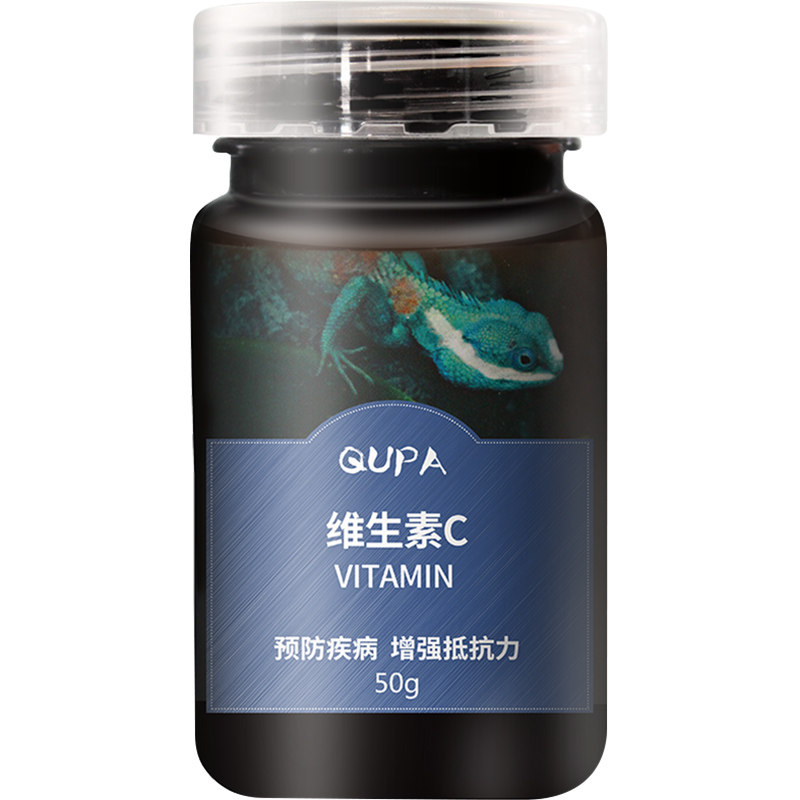 豹纹陆龟葡萄糖水补充体力爬虫