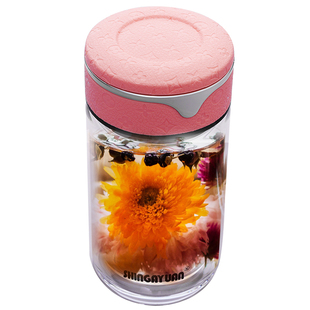 新家园双层玻璃杯男女士简约防烫小容量清新学生便携泡花茶水杯子