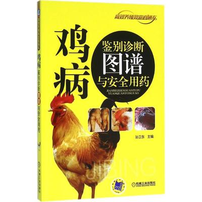 官网正版 鸡病鉴别诊断图谱与安 全用药 孙卫东 被皮 运动 神经系统 免疫程序  经典实用技术图书 农业养殖技能培训教材
