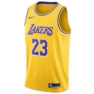 【特价清仓】Nike NBA球星篮球球衣 猛龙队伦纳德沃尔 篮球背心