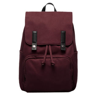新货到美国EVERLANE现货The Modern Snap Backpack双肩背包大容量