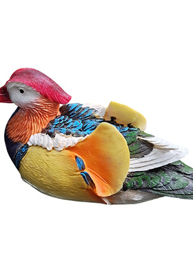 浮水花园院子池塘假山景观鸳鸯