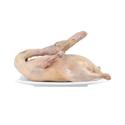 金陵王记手工卤制盐水鸭门店同款