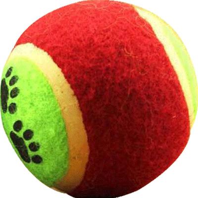 昕源泰迪萨摩耶网球宠物用品狗狗