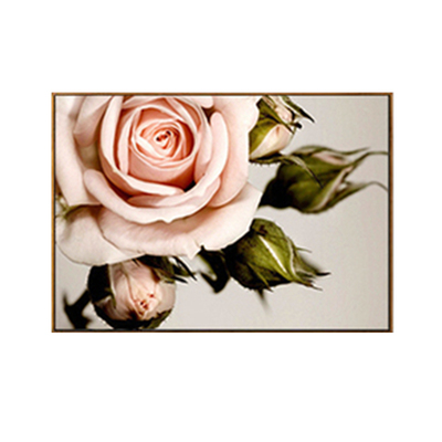 钻石画浪漫玫瑰花DIY可定制包邮