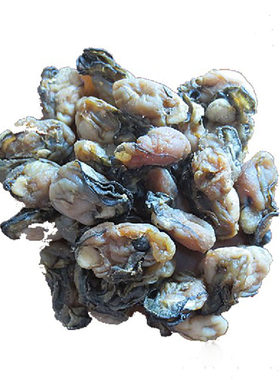 北海特产蚝豉干特价500g海蛎干