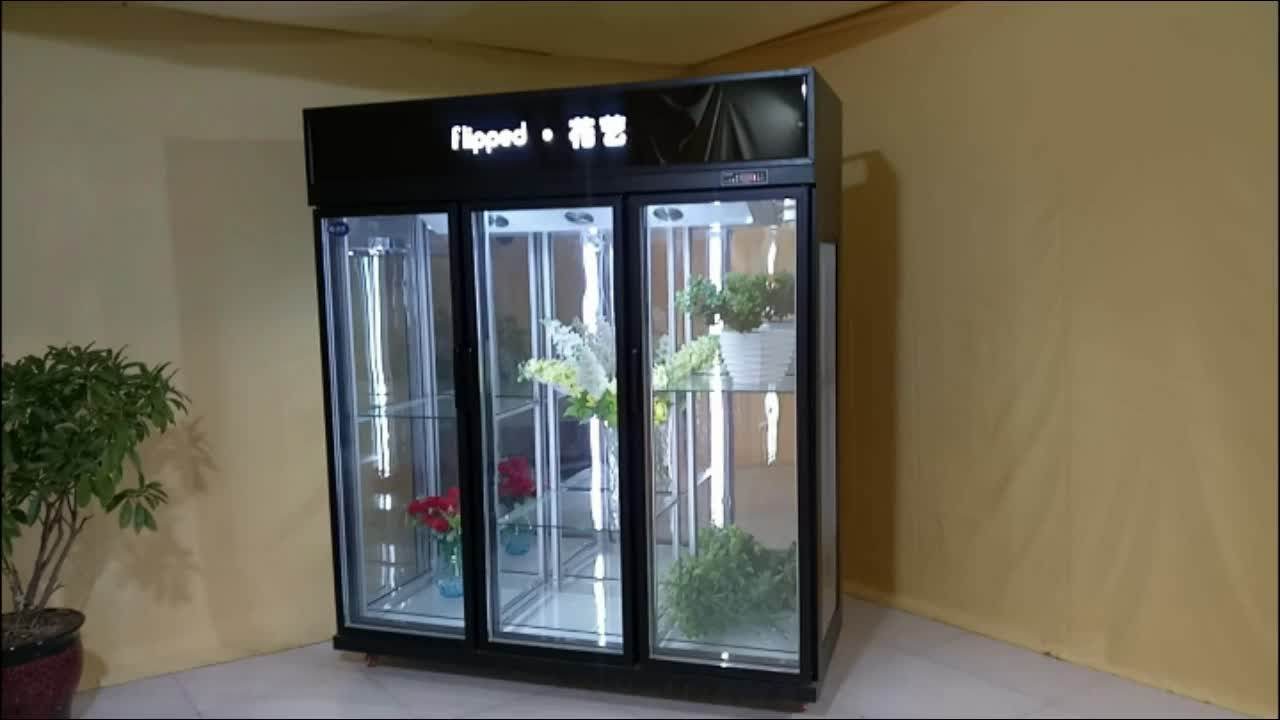 Commercial Glass Door Showcase Used Flower Refrigerator Used Flower