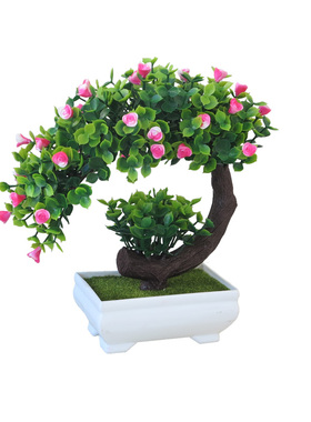 小盆栽摆设客厅室内装饰花植物