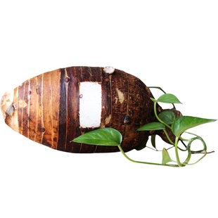 正宗广西特产荔浦芋头 新鲜槟榔香芋紫藤芋包邮荔浦发货带箱10斤