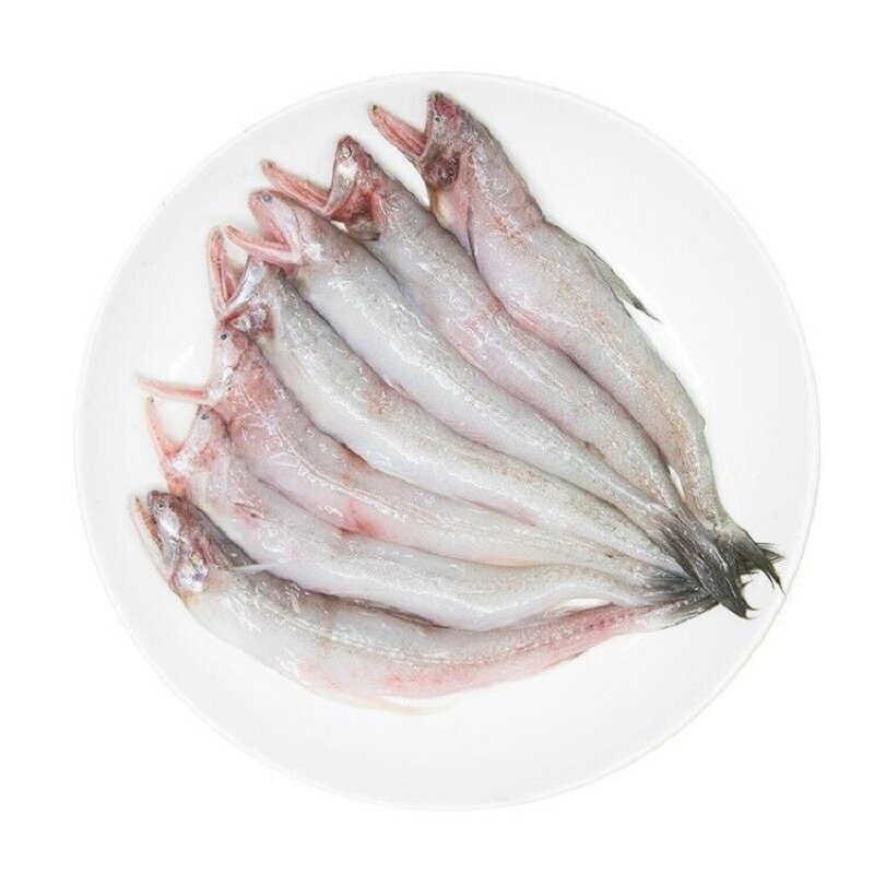 九肚鱼鲜活豆腐鱼新鲜龙头鱼野生其它